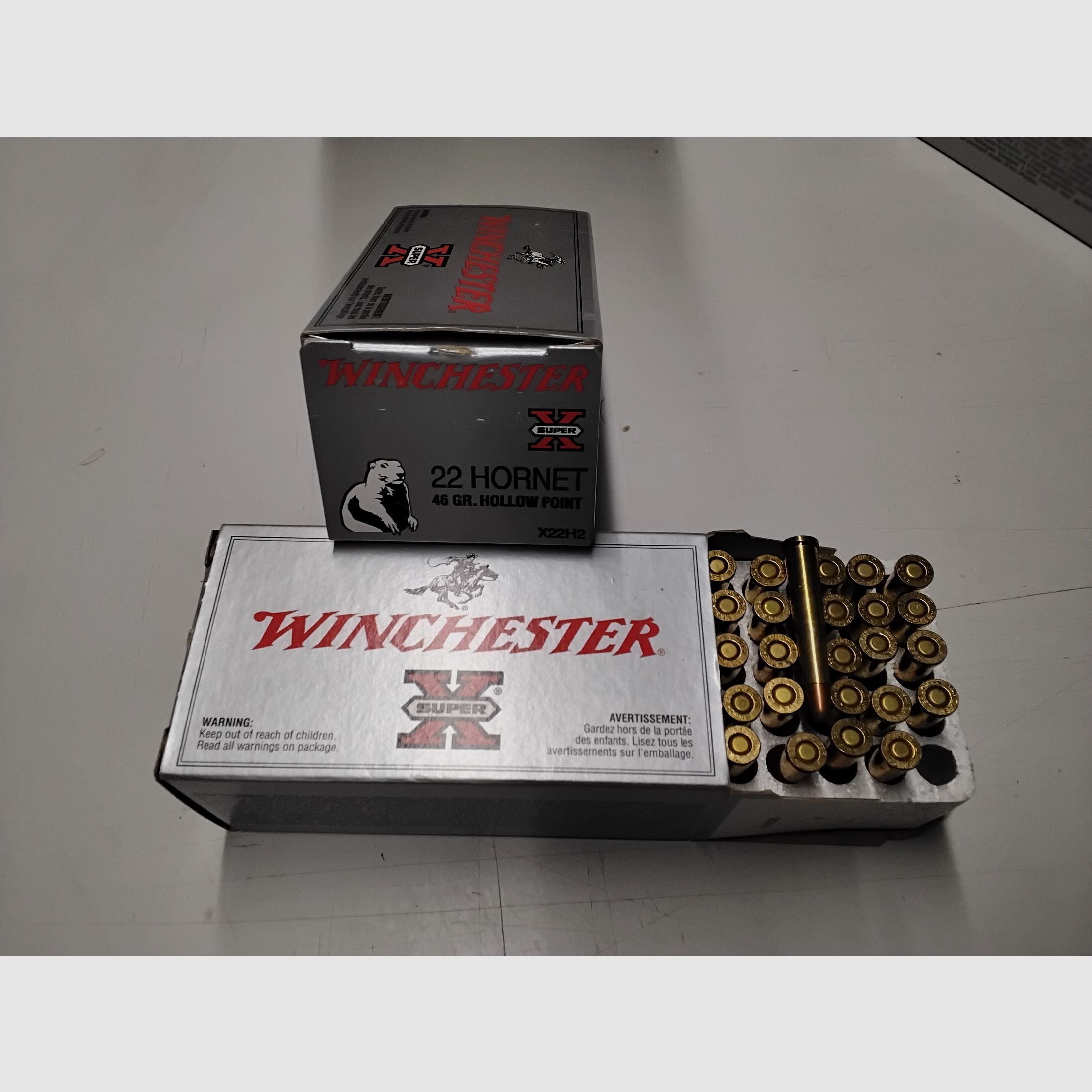 Winchester 22 hornet