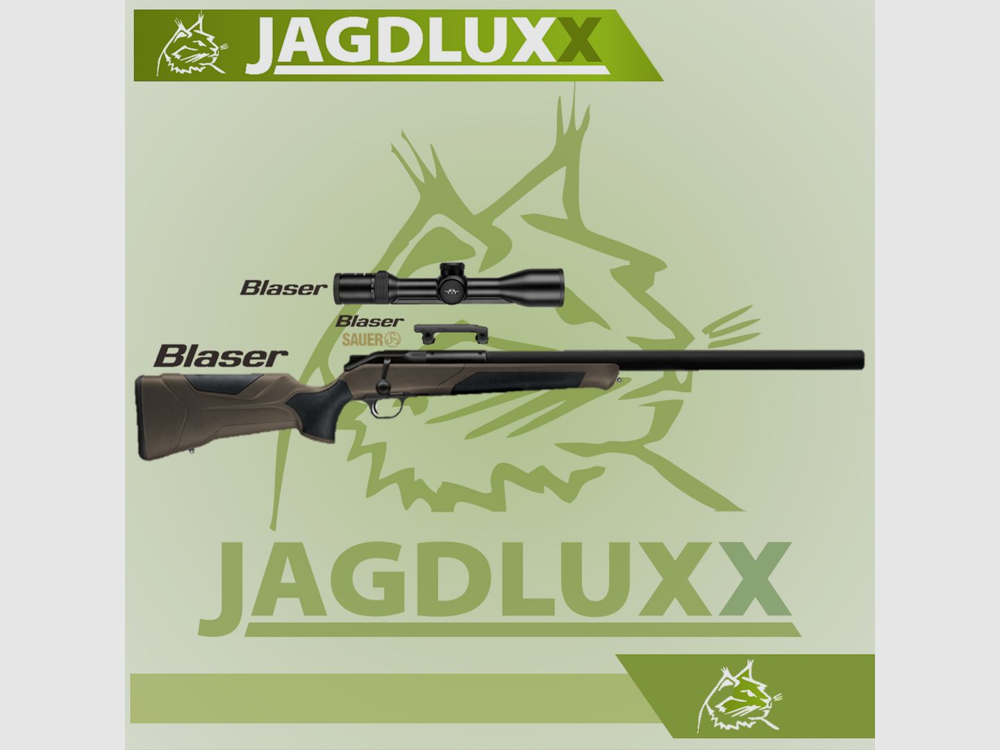Blaser R8 Professional 2.0 Silence dark-olive in a set with Blaser B2 2-12x50 iC S