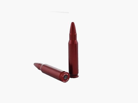 2 Blank Cartridges 308Win