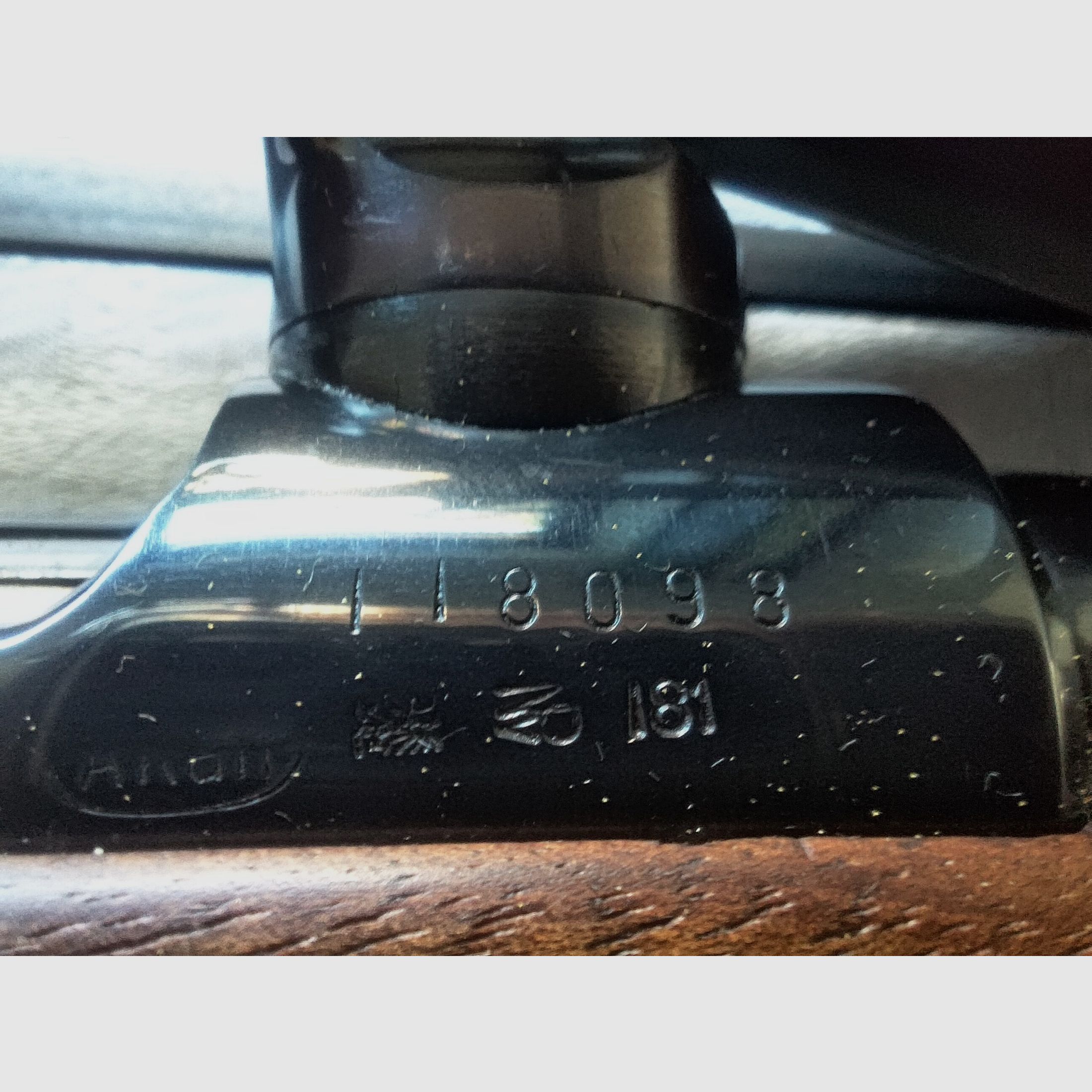 Steyr Mnanlicher Luxus 