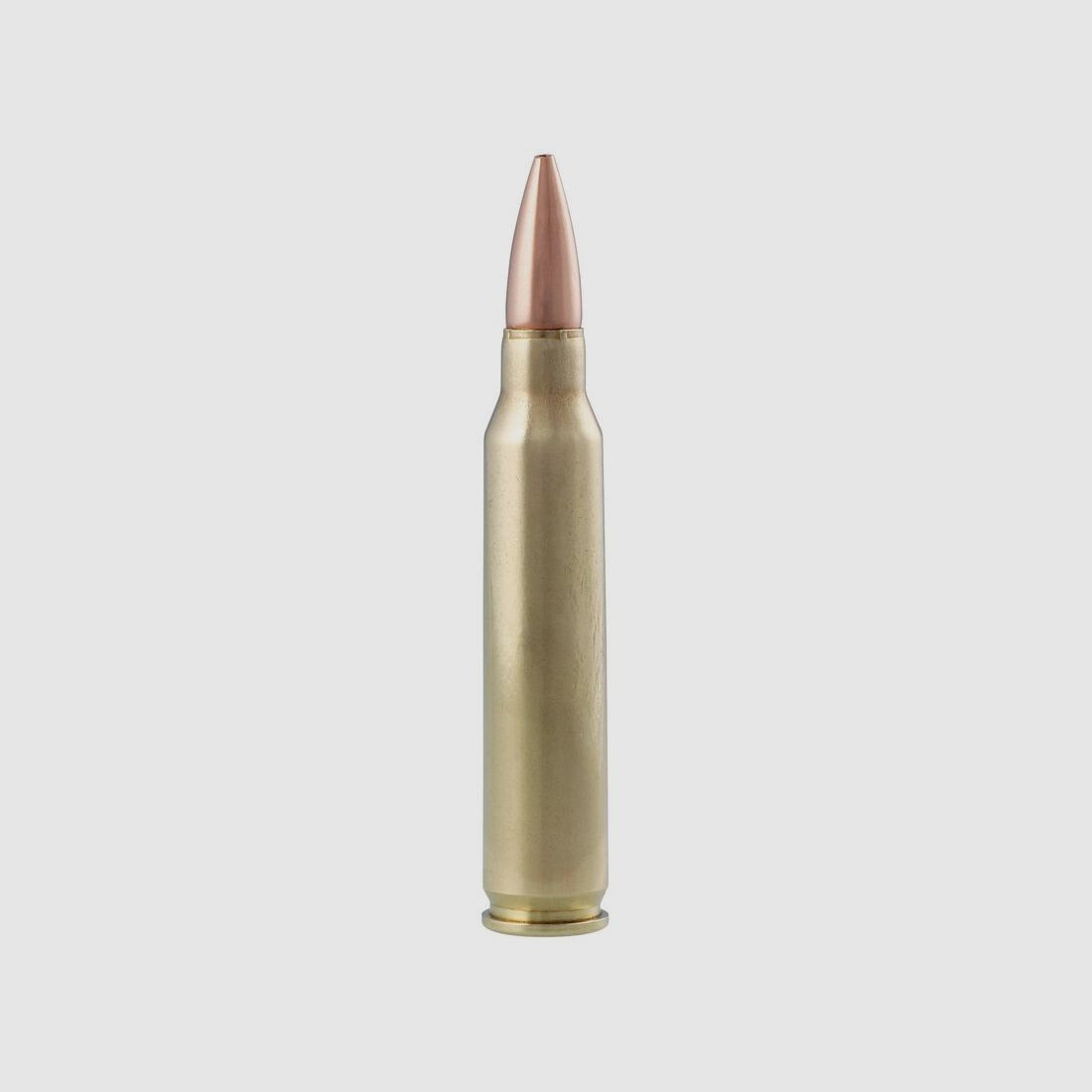 Remington Premier Match Matchking .223 Rem. 69GR OTM 20 cartucce