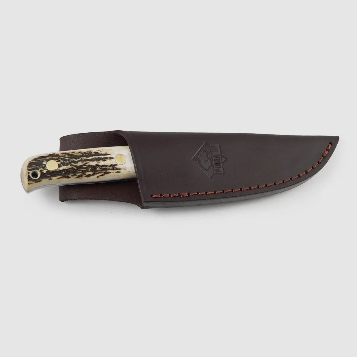 PUMA IP cantabo, stag