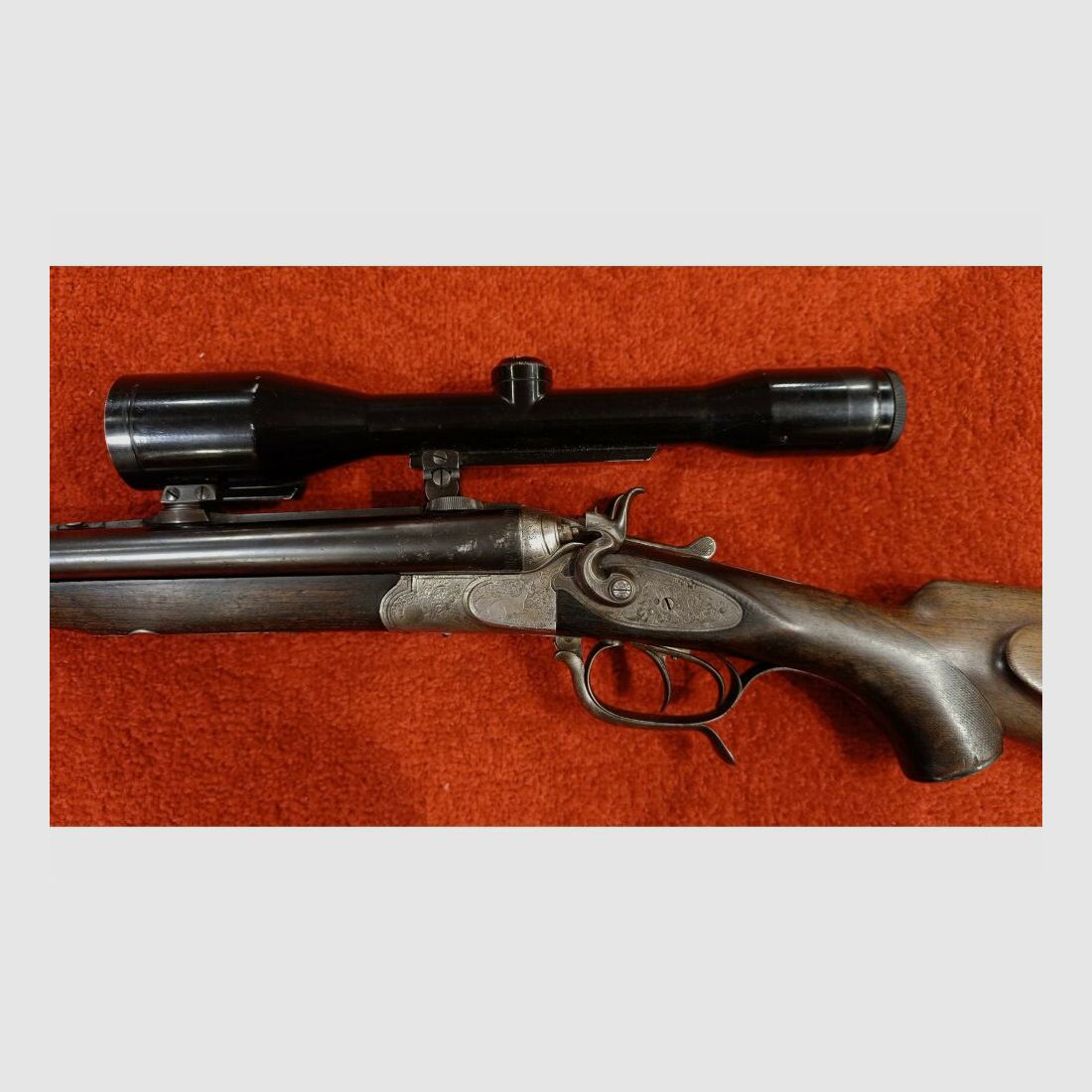 Plinthe sans 5,6x50R Mag;16/70