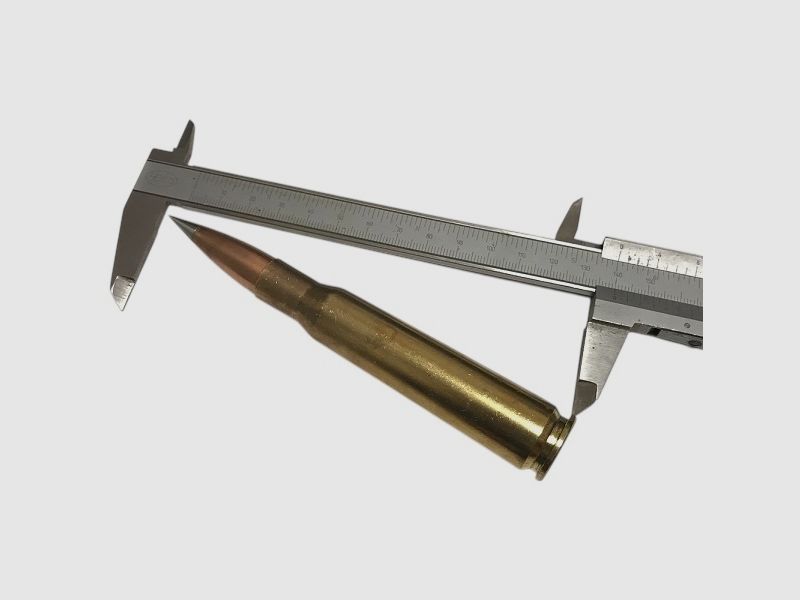 .50 BMG Decommissioning Silvertip – Dummy Round