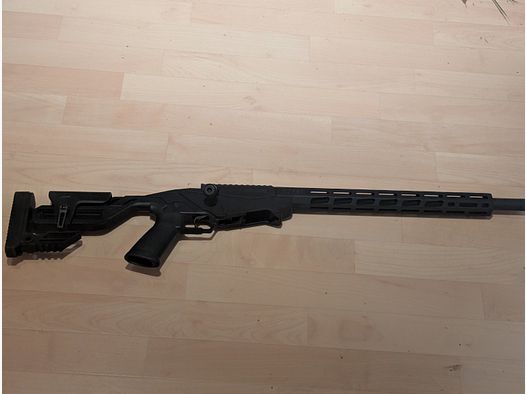 Ruger precision rimfire .22 lfb