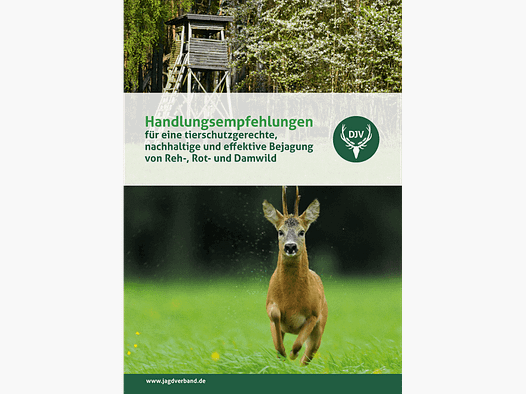 Broschüre "Handlungsempfehlungen Bejagung von Reh-, Rot- und Damwild"