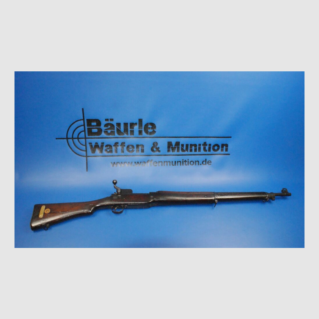 Eddystone P14 .303Brit