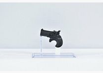 Derringer RG17​ .38Special Pistole