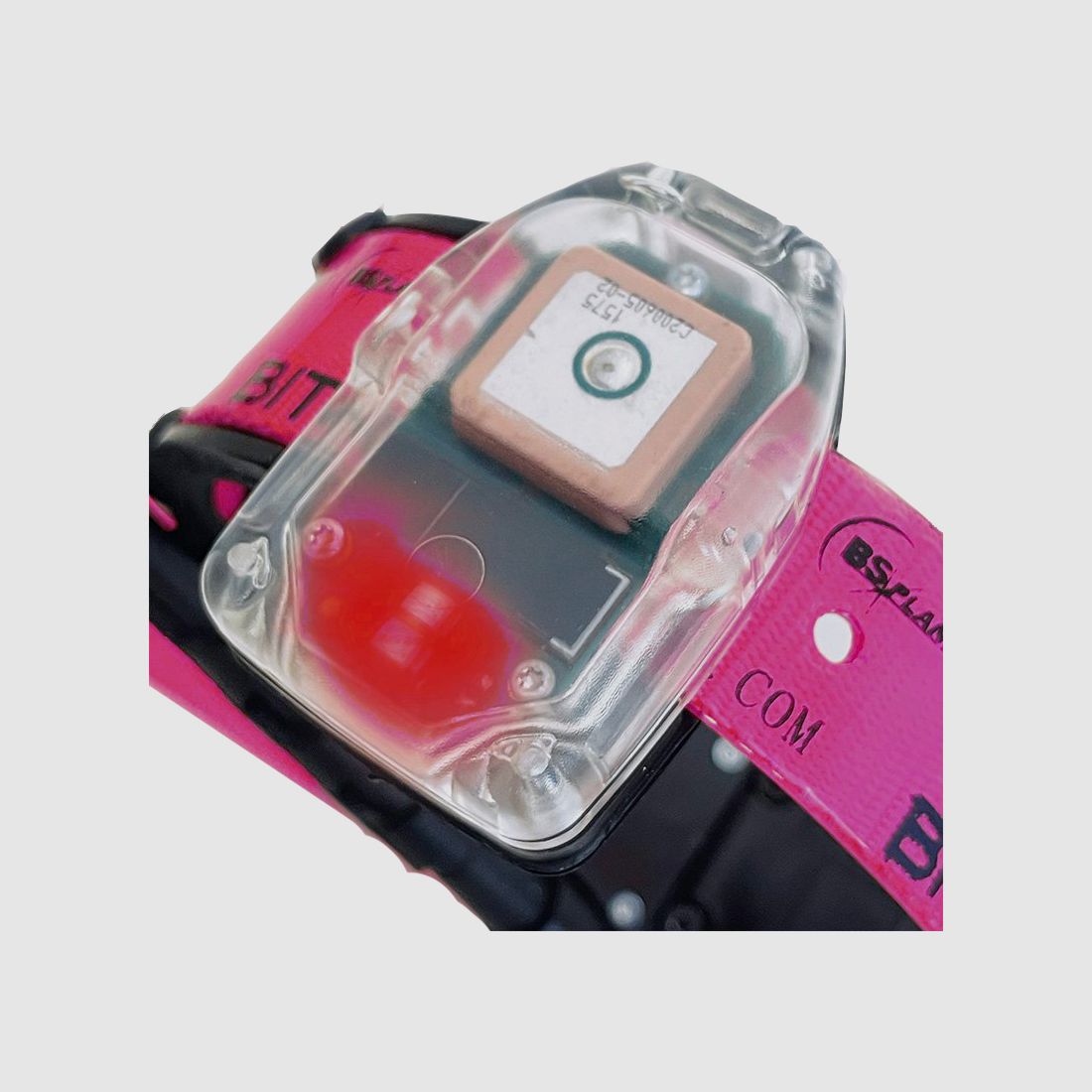 Collare GPS per cani da caccia MITO 5300 BITRABI Beeper, immagine 3 di 4
