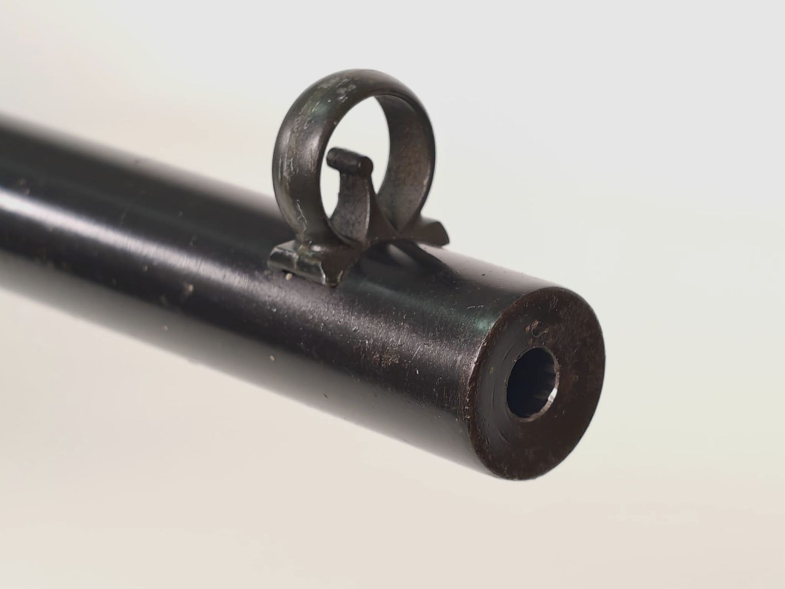 Anschütz Kleinkaliber Fallenjagd .22lr