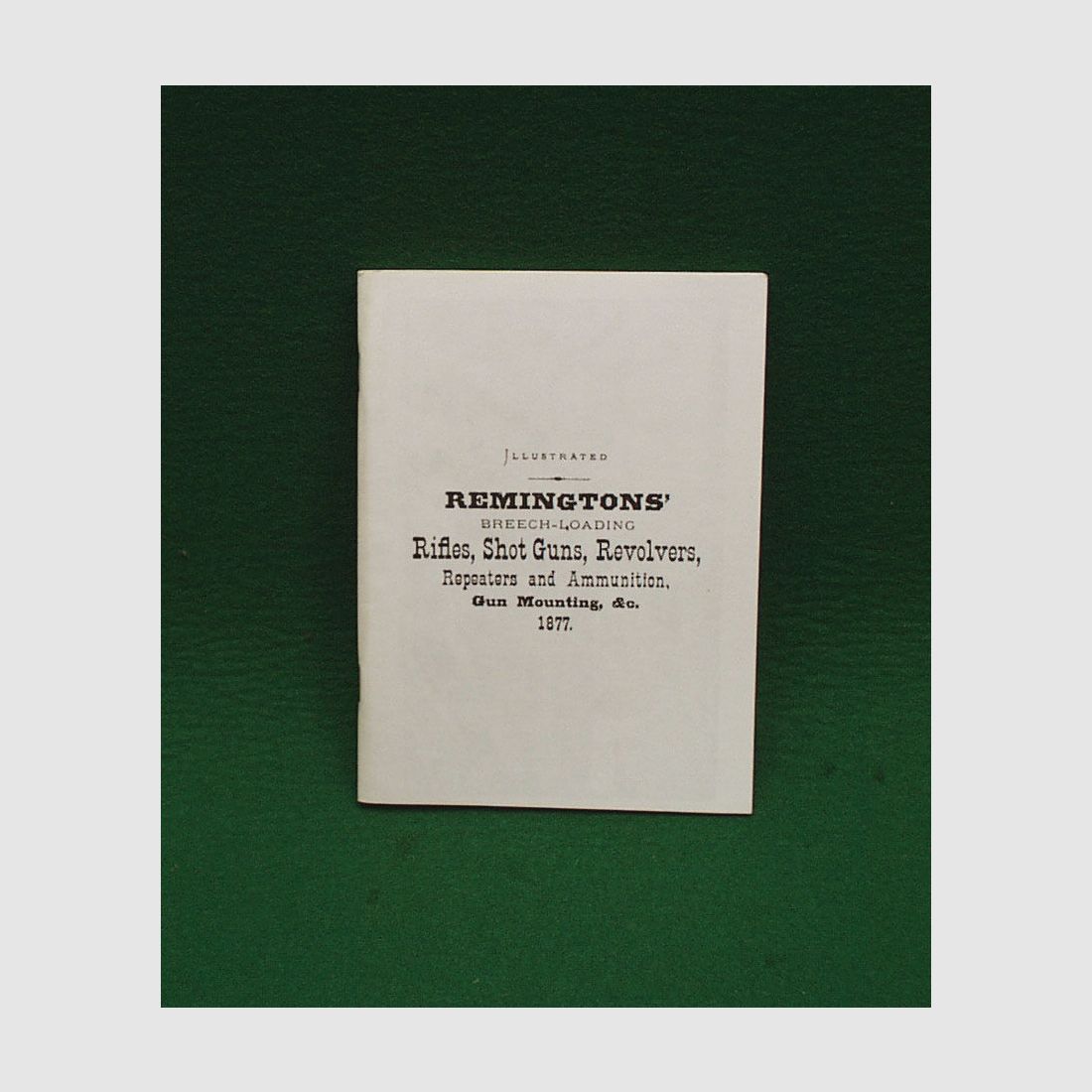 Buch/Taschenbuch	 Remingtons