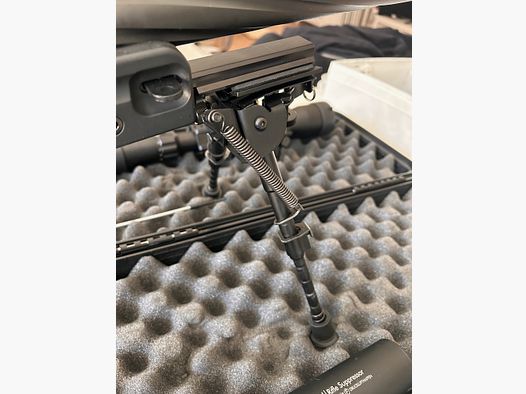 Fusil de sniper Novritsch SSG96