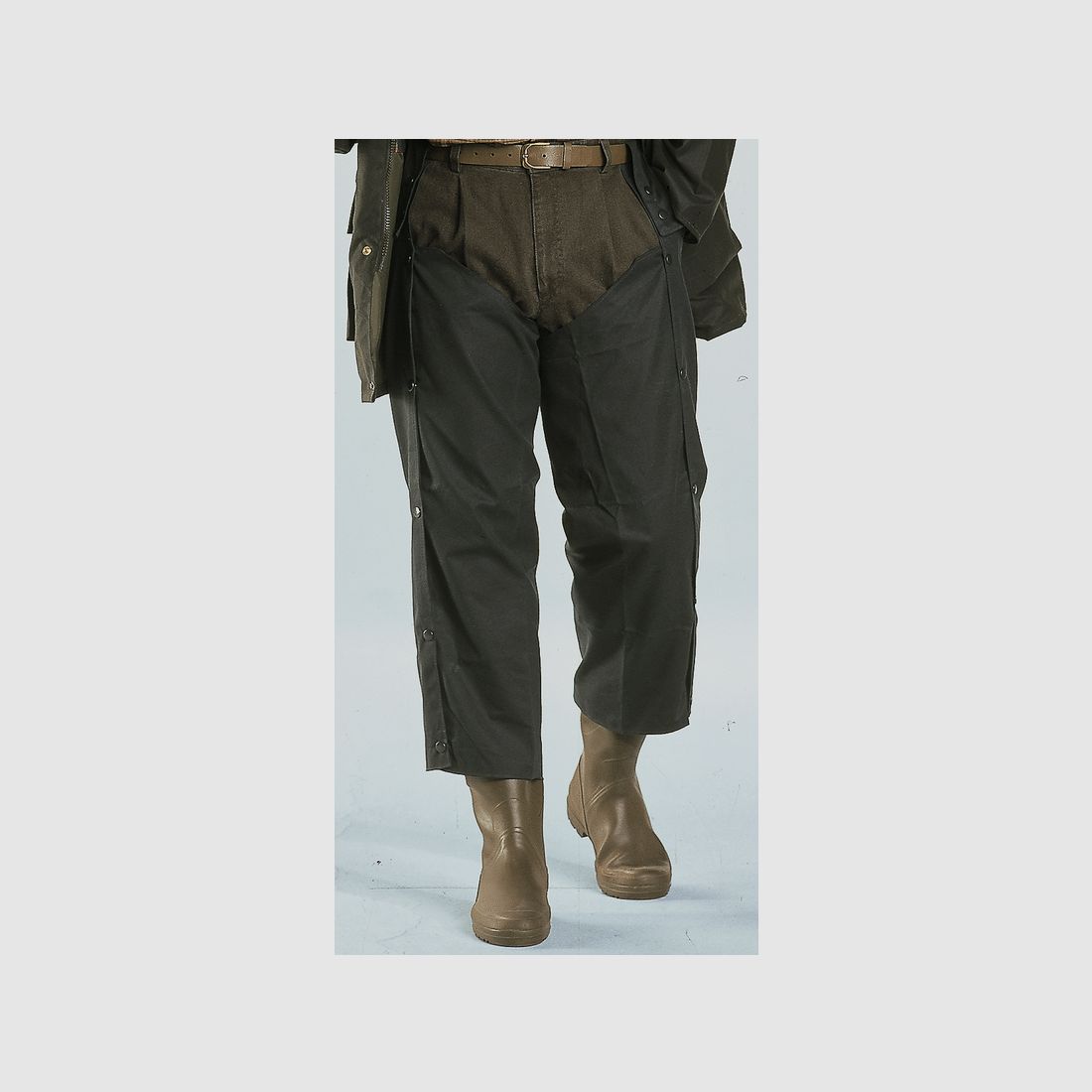 Alan Paine Wachsbeinlinge