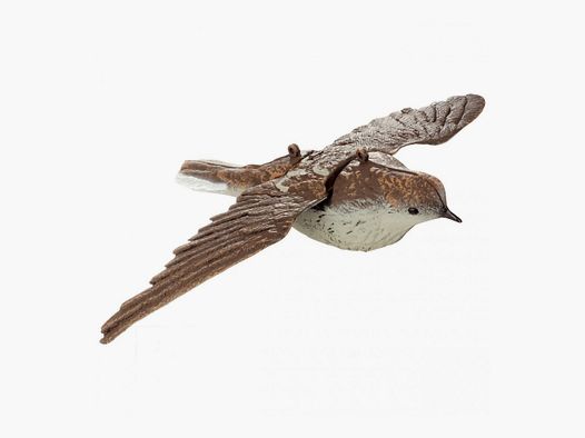 Stampo Allodola in Volo