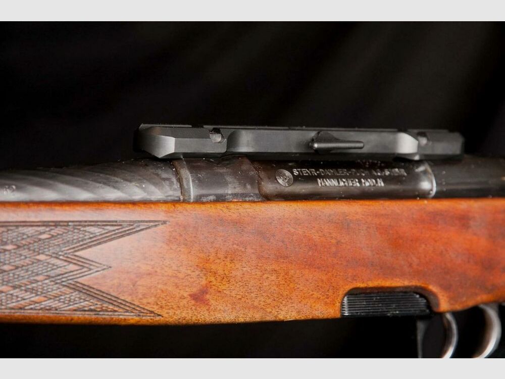 Steyr Mannlicher Stutzen M mit Dentler Montage