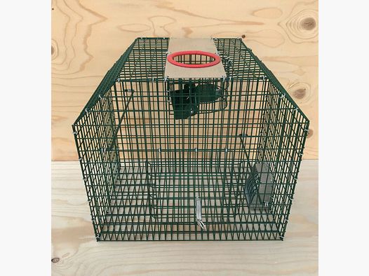 Cage à petits oiseaux et piège à rats