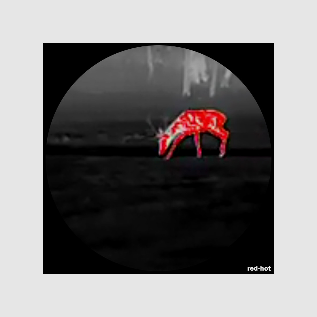 Lahoux Spotter Pro 25 Wärmebildkamera