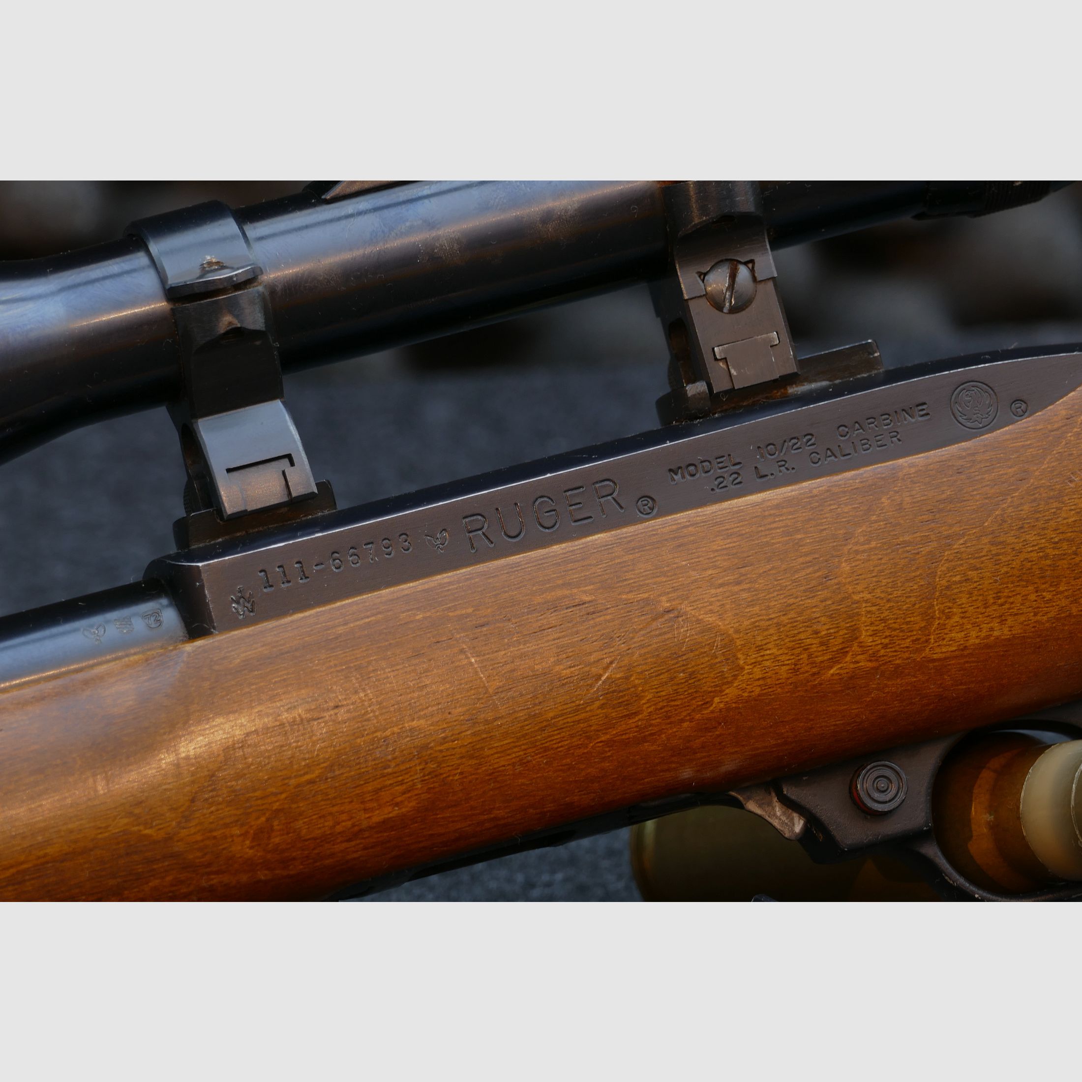 Ruger 10/22 DSP "Sporter", semi-automatic, self-loading rifle, .22lr