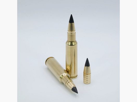 GM – 50 Patronen – 8,5×55 Blaser – 8,5 g – Splinter Tip