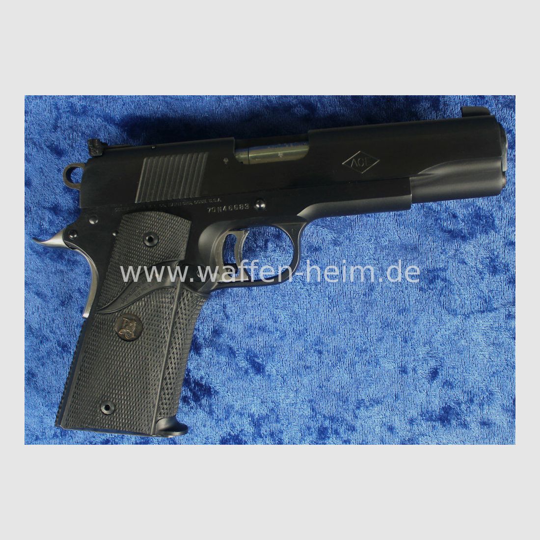 Colt ACE
