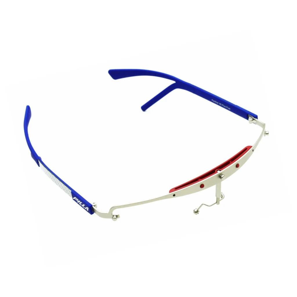 Pilla Panther X6 Post Frame