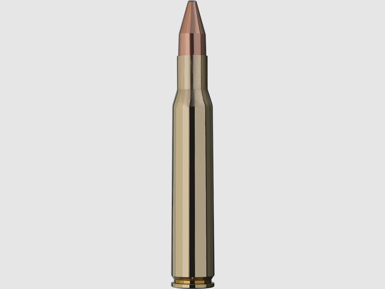 Munitions RWS KS Cal 30-06 150 grains boite de 20, image 3 sur 4