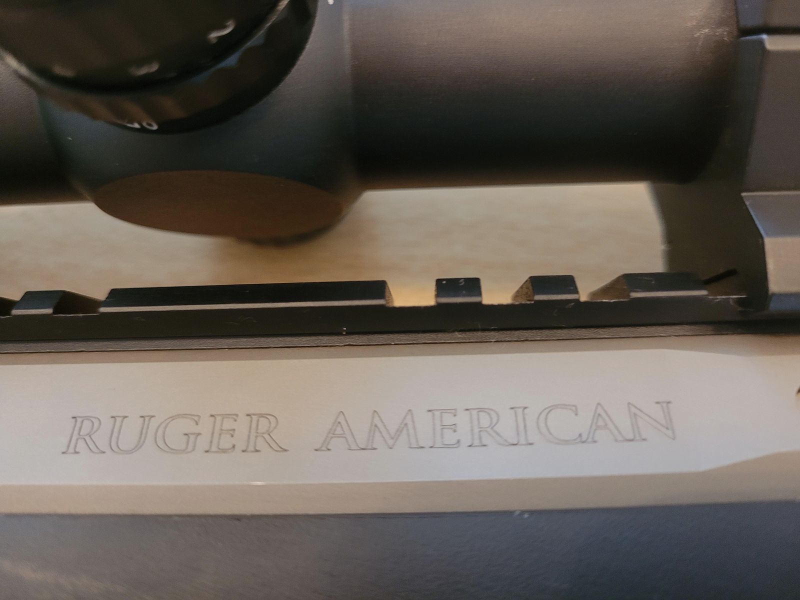 Fucile Magnum Ruger American .300 WinMag, il poco esigente con un po' di potenza, caccia in battuta, lunghe distanze
