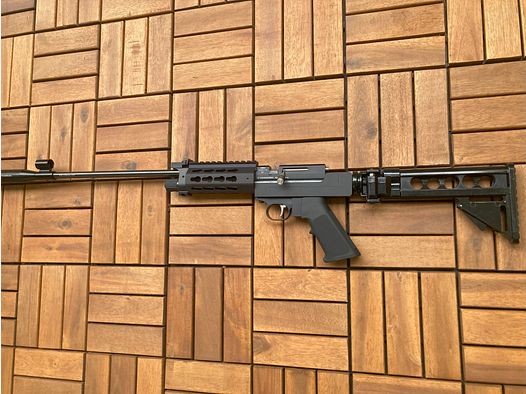 Diana Chaser Luftgewehr Kaliber 4,5mm neuwertiger taktischer Umbau LR300 AR15 Stil