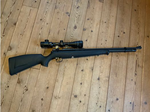 Fucile ad aria compressa Crosman Benjamin Maximus / Fucile ad aria