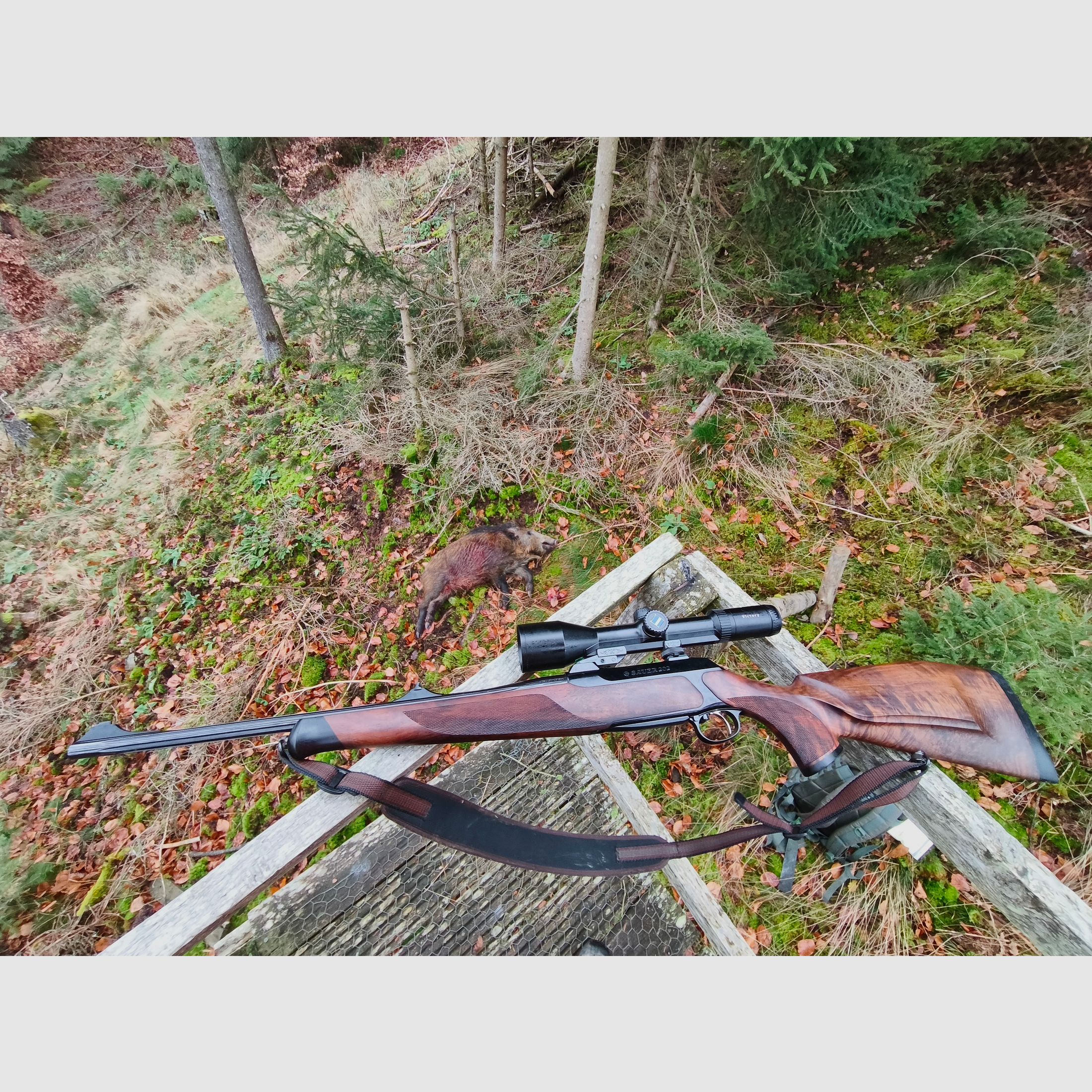Sauer 202 Highland 