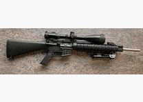 DPMS / Shilen / Custom AR15