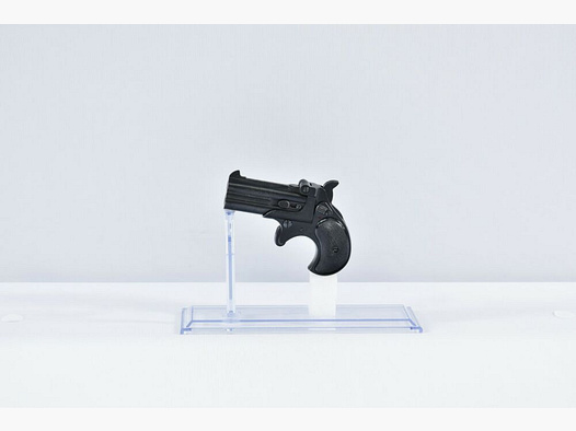 Derringer RG17