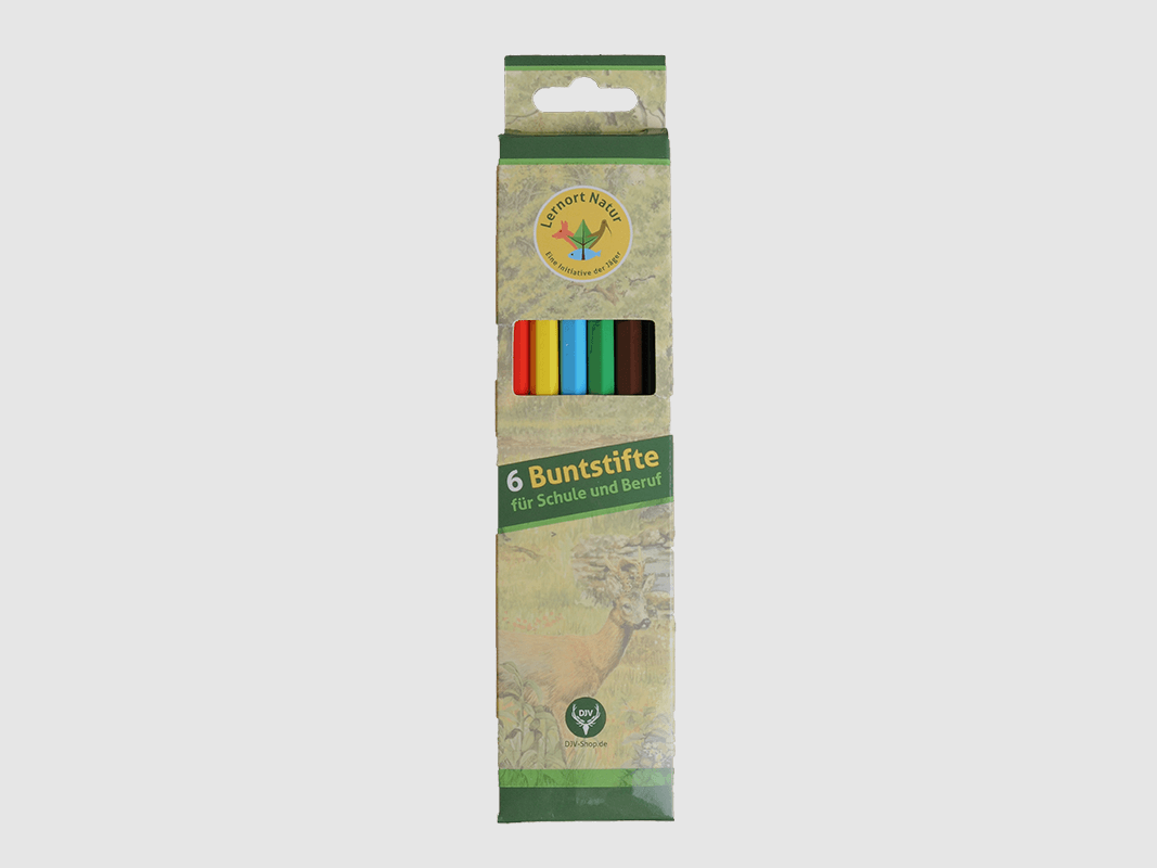 Luogo di apprendimento Natura Matite colorate