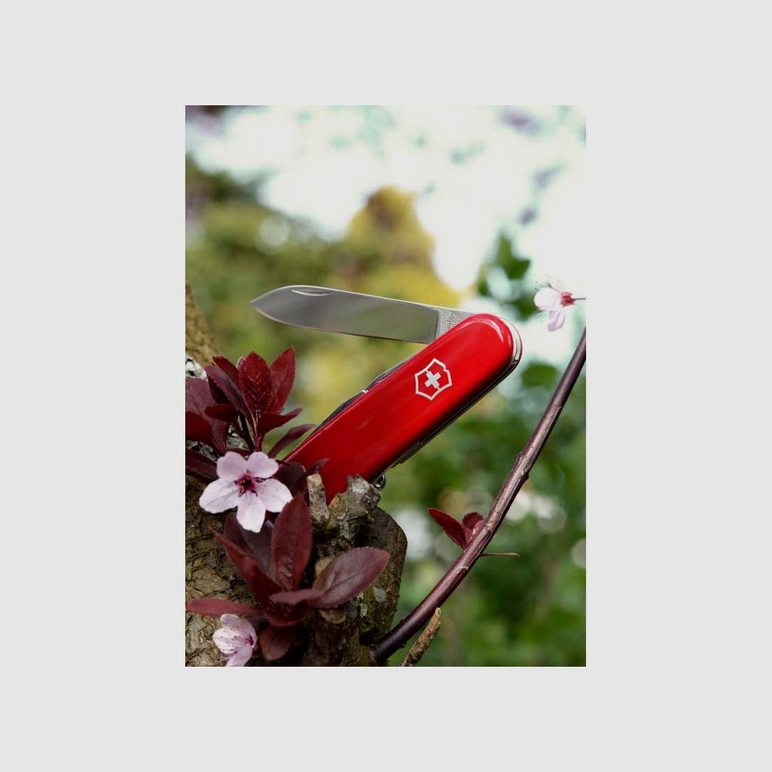 Victorinox Offiziersmesser Spartan, rot, 12 Funktionen
