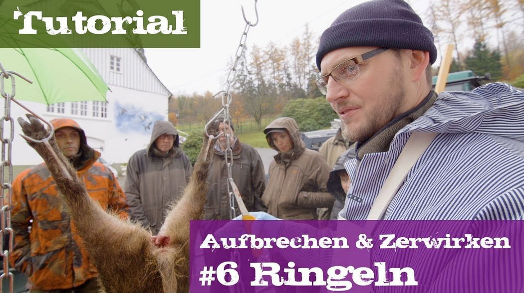 #6 Ringeln - Lehrgang Aufbrechen & Zerwirken