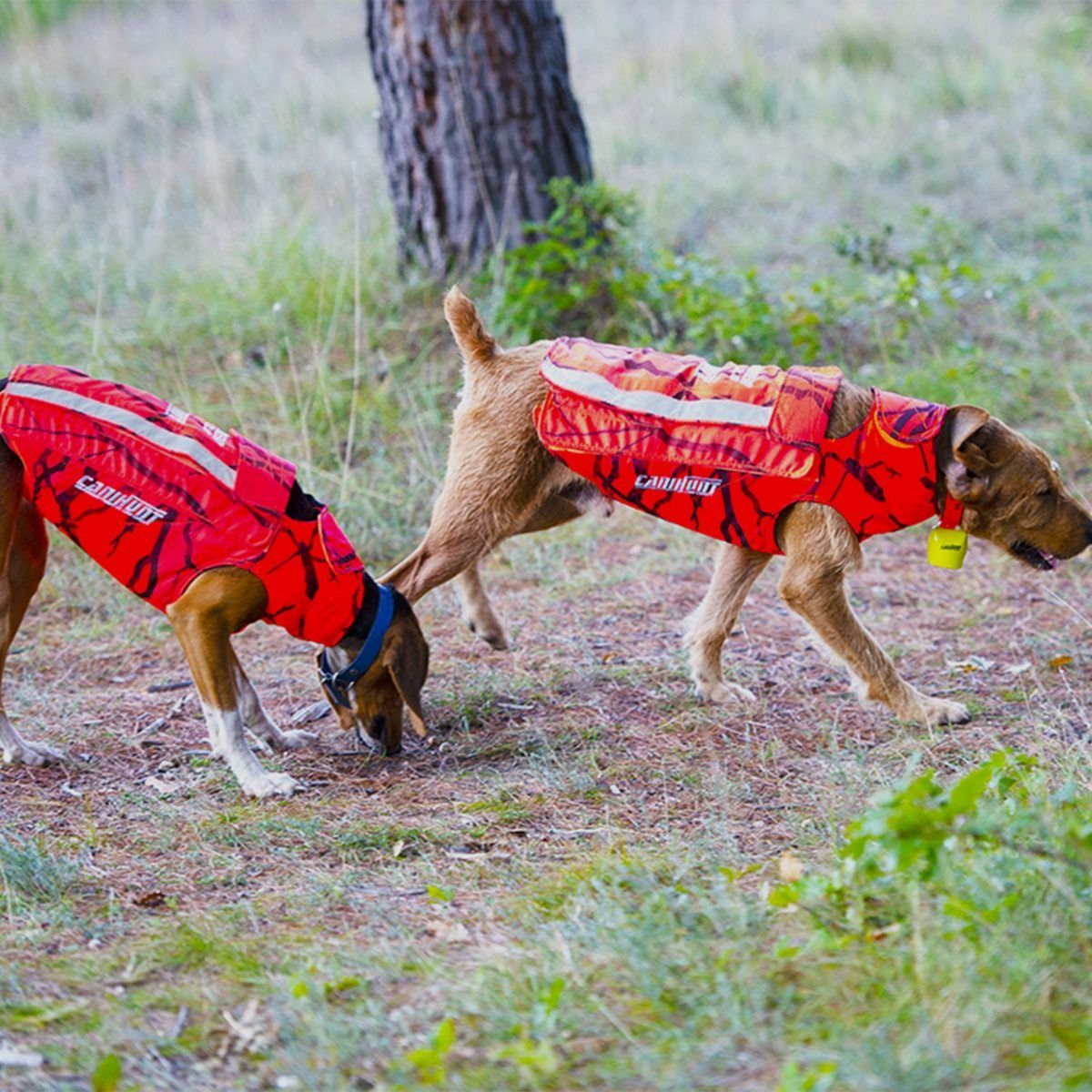 Schutzweste für Jagdhunde Canihunt Protect Defender 2.0, Bild 8 von 18