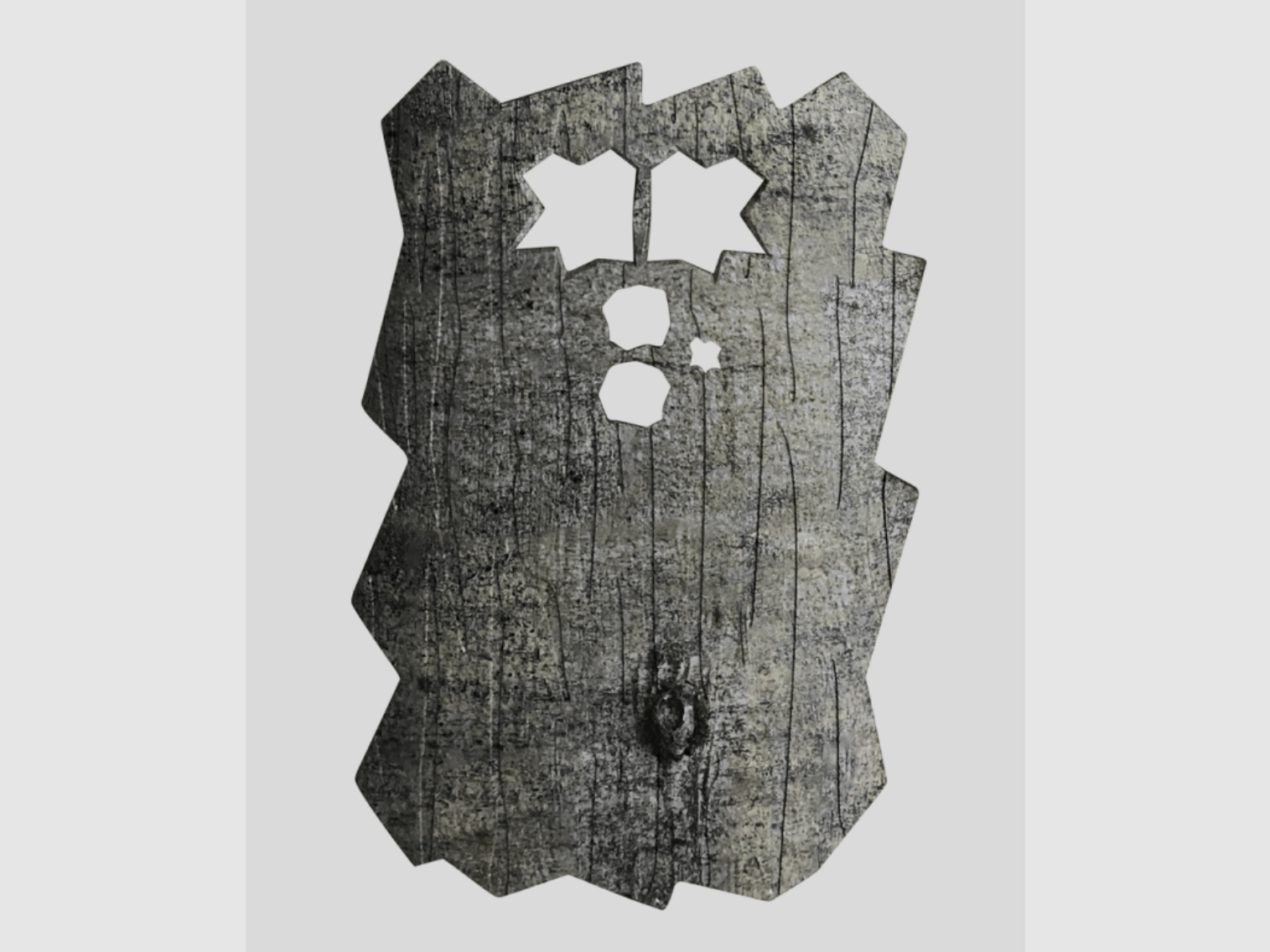 Minox Frontblende für DTC 460 (Buche)