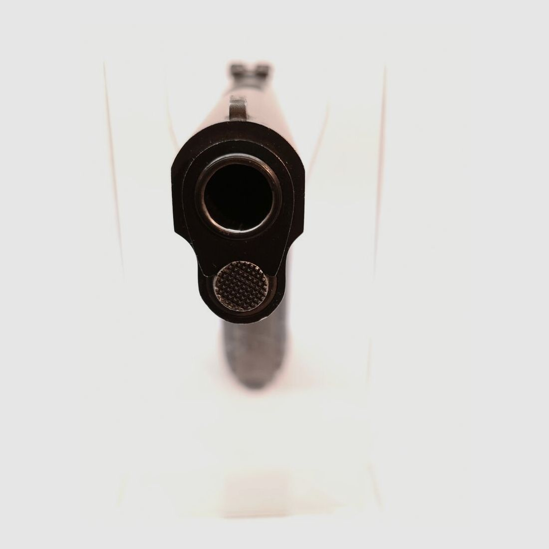 Springfield 1911-A1, reichhaltiges Zubehör