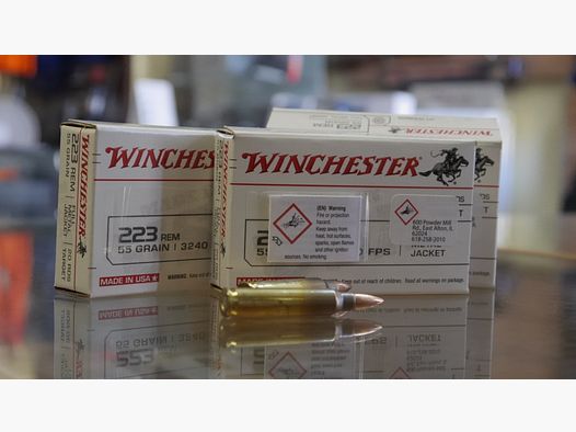 Winchester 223r 55grani FMJ