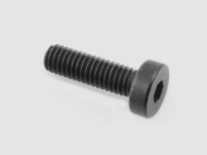HW 100 Screw 2646