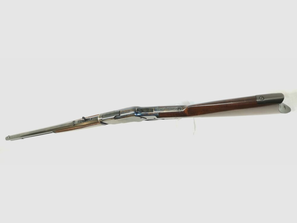 Hege-Uberti 1873
