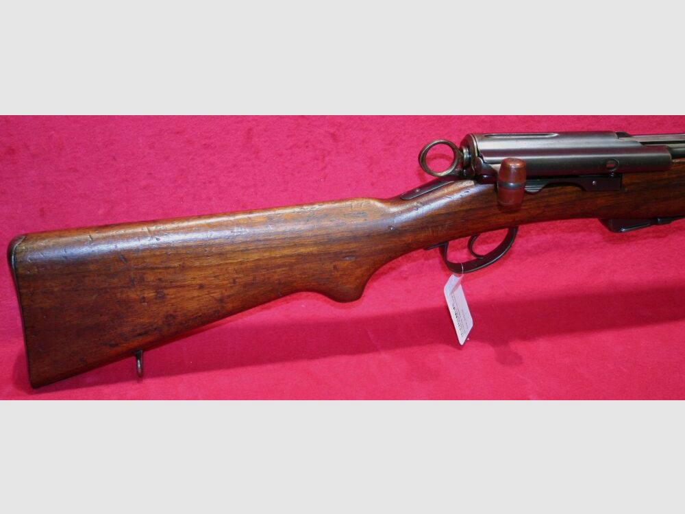 Schmidt-Rubin ripetitore a corsa lineare