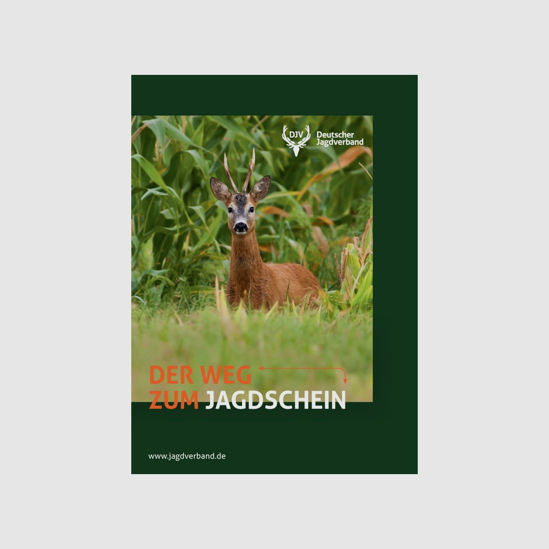 Brochure "Le Chemin vers le Permis de Chasser" - actuellement en révision