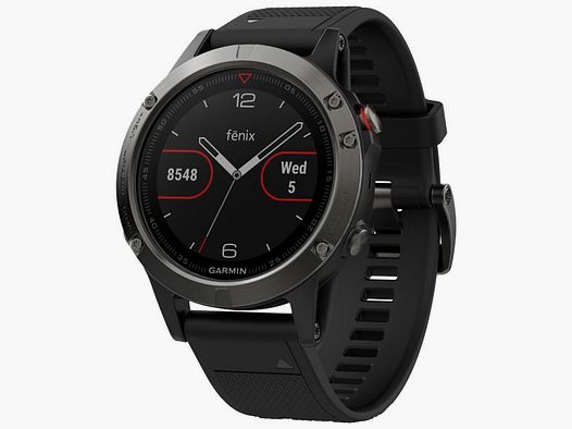 Garmin Garmin Fenix 5 grau