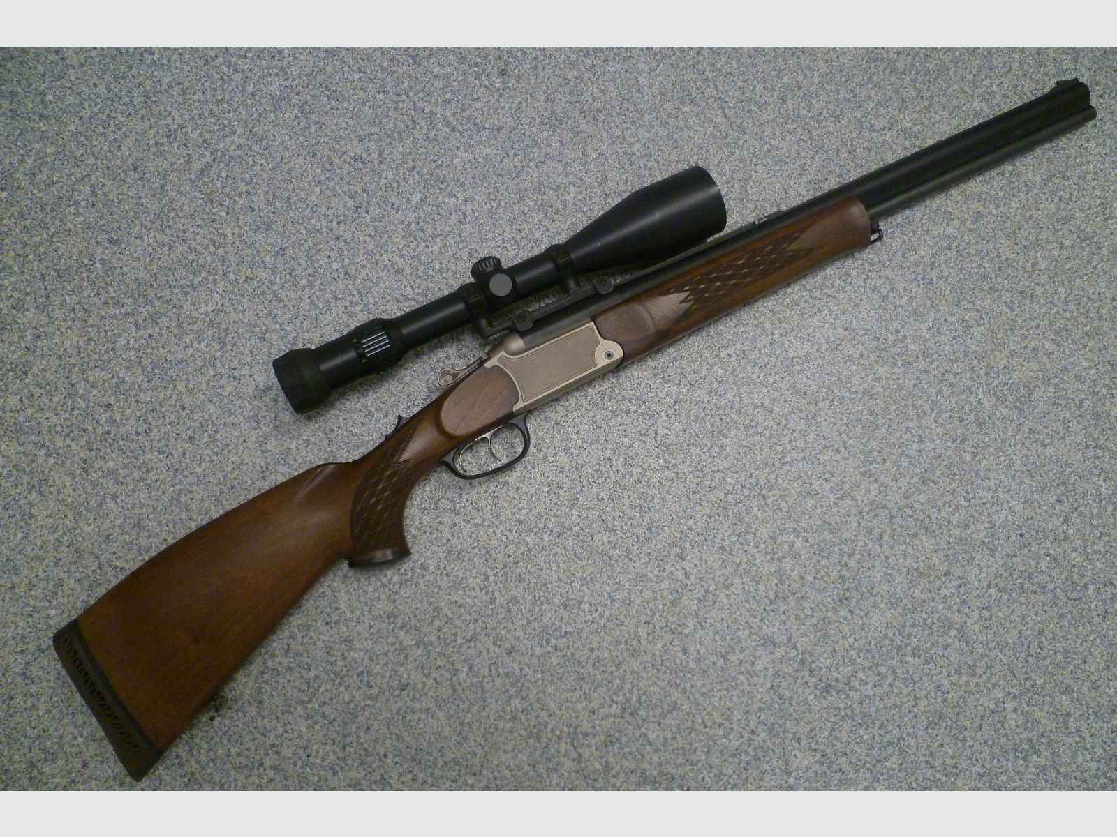 Blaser BBF 95 12/70 & .30-06 Spring.