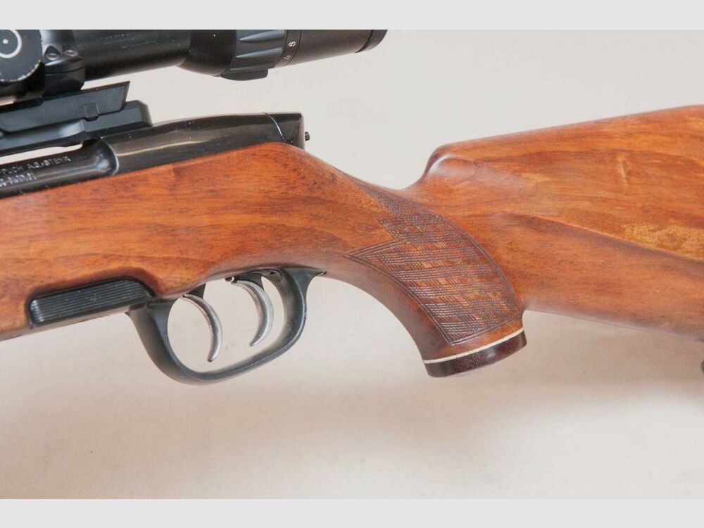 Steyr Mannlicher Stutzen M mit Dentler Montage
