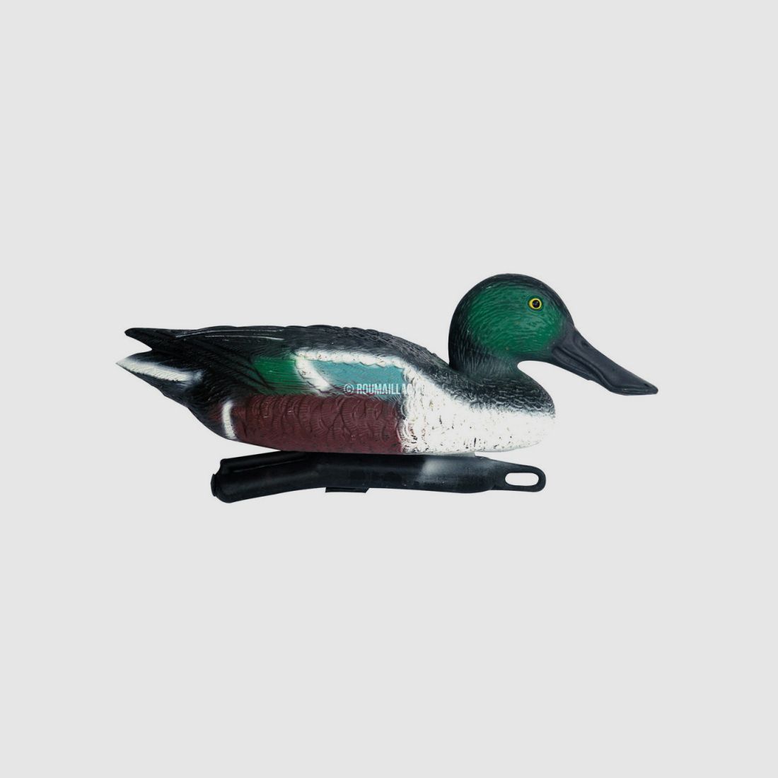 CALLING FORM MALE PINTAIL, image 2 of 2