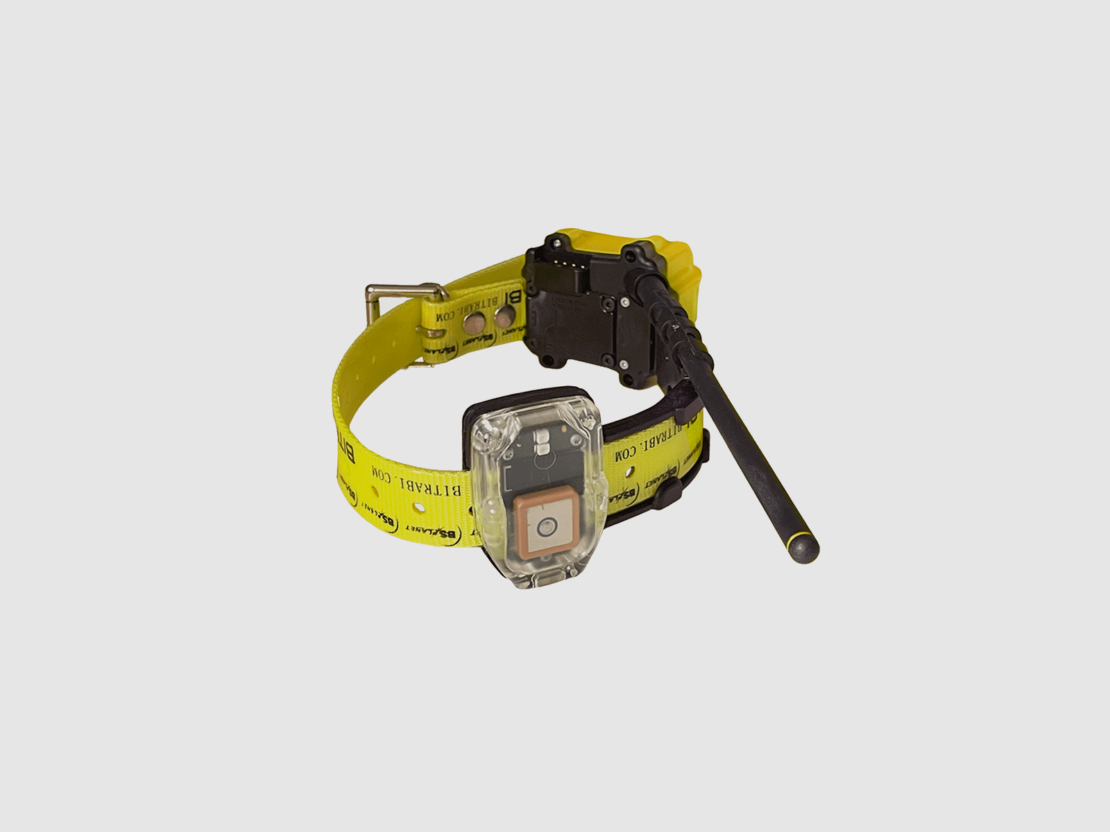 BITRABI – MITO 5200 HALSBAND GPS + GSM, Bild 2 von 4