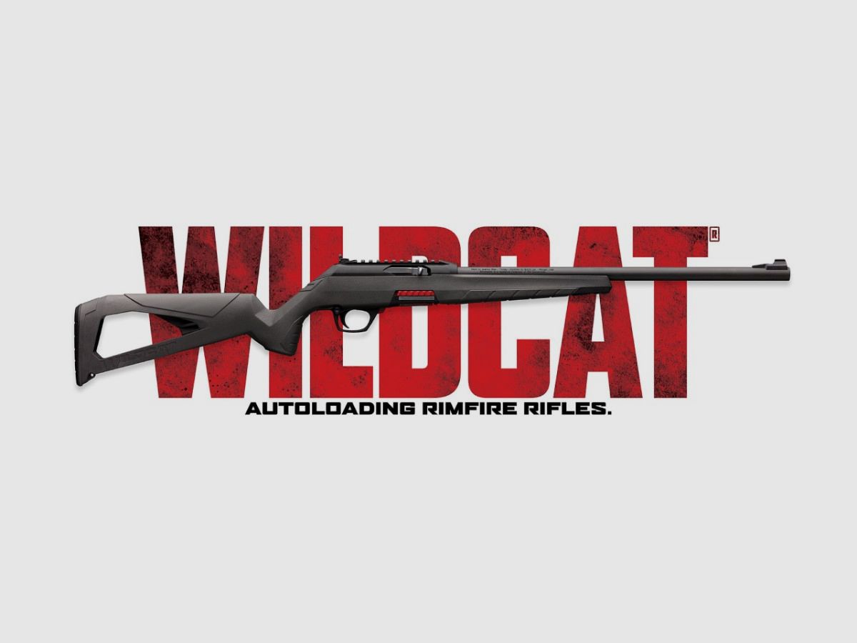 WINCHESTER WILDCAT 22LR, zdjęcie 1 z 2