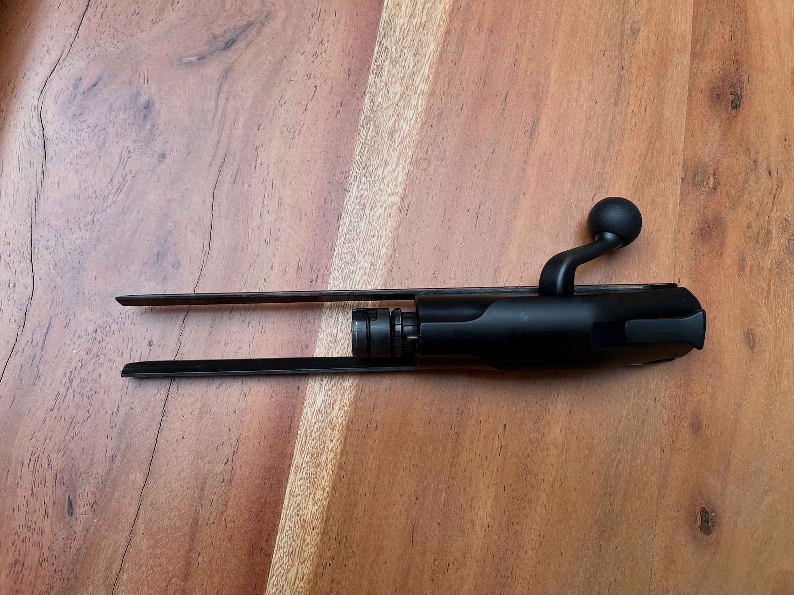 Blaser R8 Professionell Success 